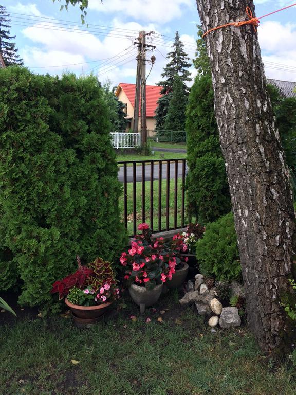 Rozsa Nyaralohaz Villa Balatonboglár Eksteriør billede
